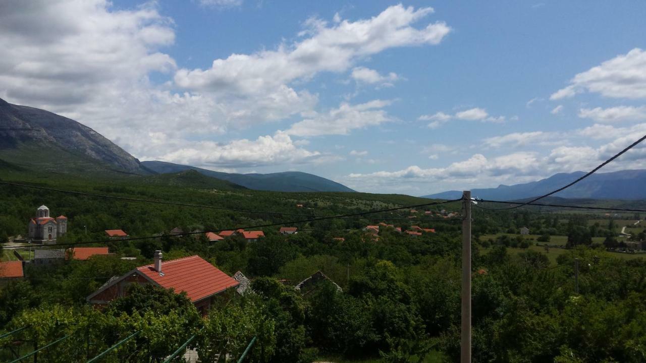 Villa Cetina Milasi Екстер'єр фото