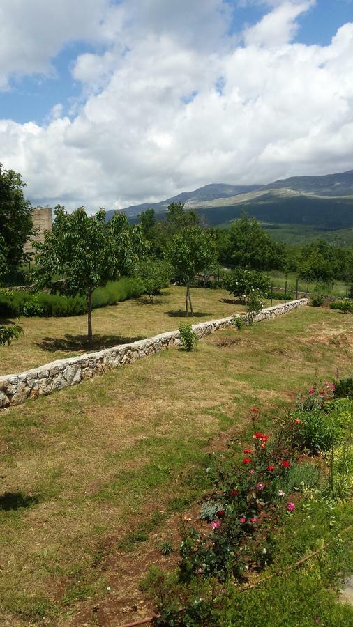 Villa Cetina Milasi Екстер'єр фото